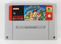 Super Nintendo Super Adventure Island nur Modul Model SNSPH2NOE 251110